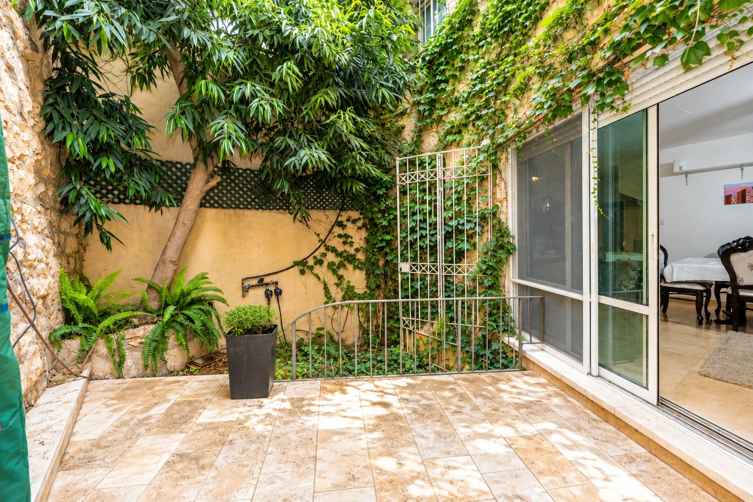 Cour-jardin pavée, mur en pierre de Jérusalem et arbre, ouverte sur le séjour