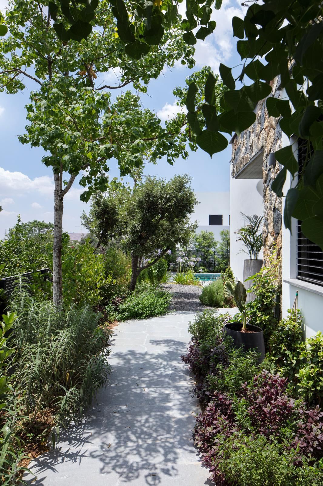 Path through the landscaped garden, between trees and planted beds